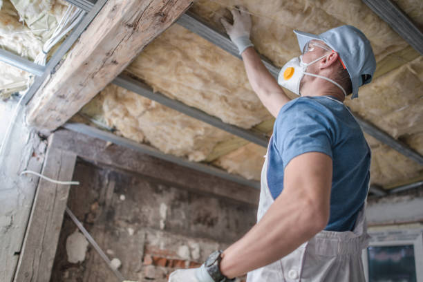 Best Energy Efficiency Solutions in Hamlet, IN